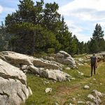Lapiazs