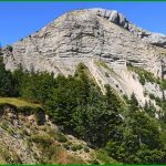 Rangs des Arrêts
