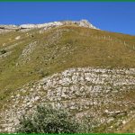 Pointe Feuillette
