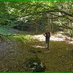 La Plainie