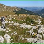 Pointe Feuillette