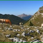 Pointe Feuillette