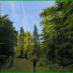 Piste vers Permafrost