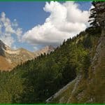 Tête de Lauzon