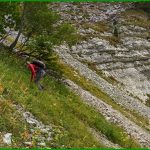 Pierrier du Permafrost
