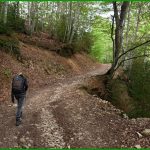 Gorges de Toussière