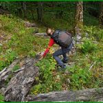 Permafrost