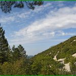 Combe d'Arnoux