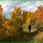 Couleurs d'Automne