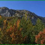Pic St-Cyr