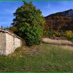 Contadin