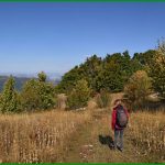 Mont Burlet