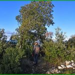 Petit Luberon