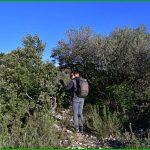 Montée vers Pié Gros