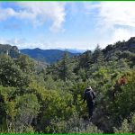 Petit Luberon