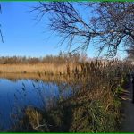 Etang