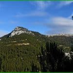 Le Mont Caume