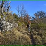 l'Ourillon