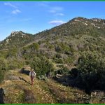 l'Amarron