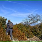 Le Bosquet