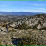 Le Bosquet