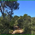 Luberon Est