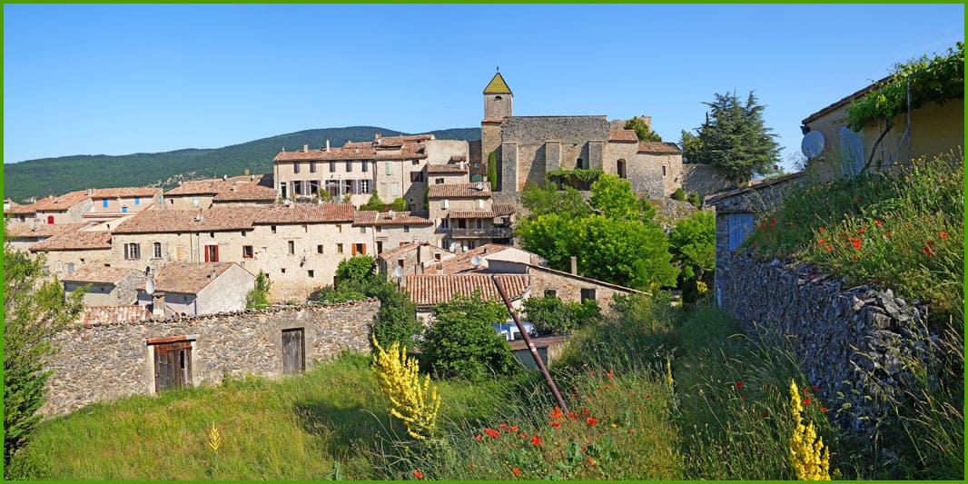 Les lavandes