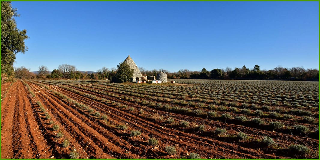 Plateau des Claparèdes