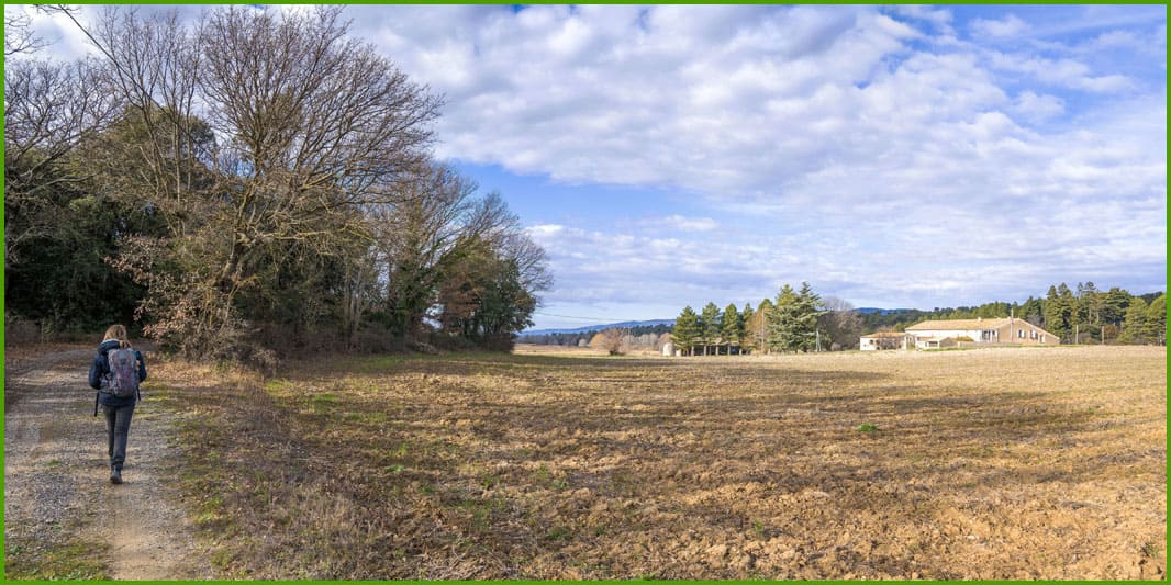 Ruines des Templiers